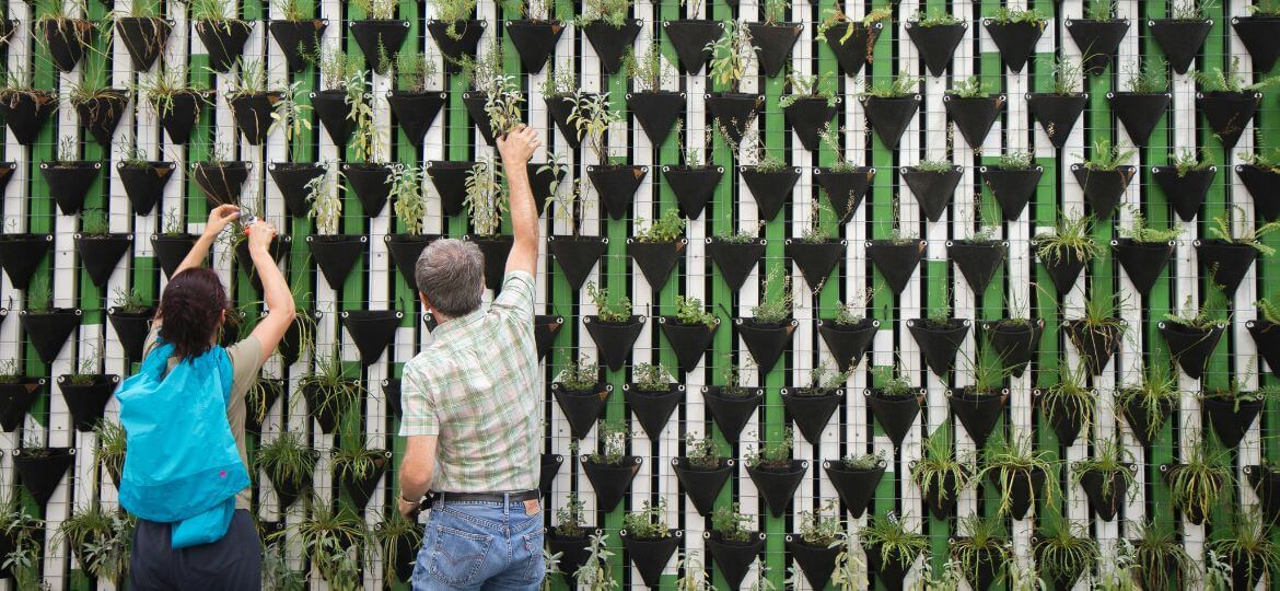 Populiariausi tvarumo terminai